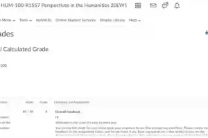 online class service for coursework completion